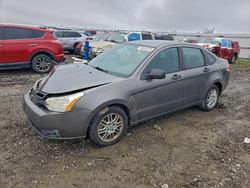 Ford Focus salvage cars for sale: 2011 Ford Focus se