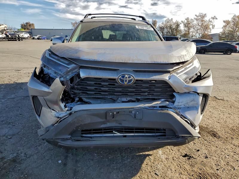 2024 Toyota Rav4 xle