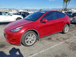 Tesla salvage cars for sale: 2021 Tesla Model y