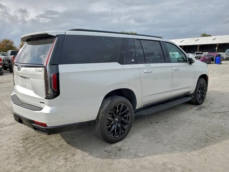 2024 Cadillac Escalade esv Sport