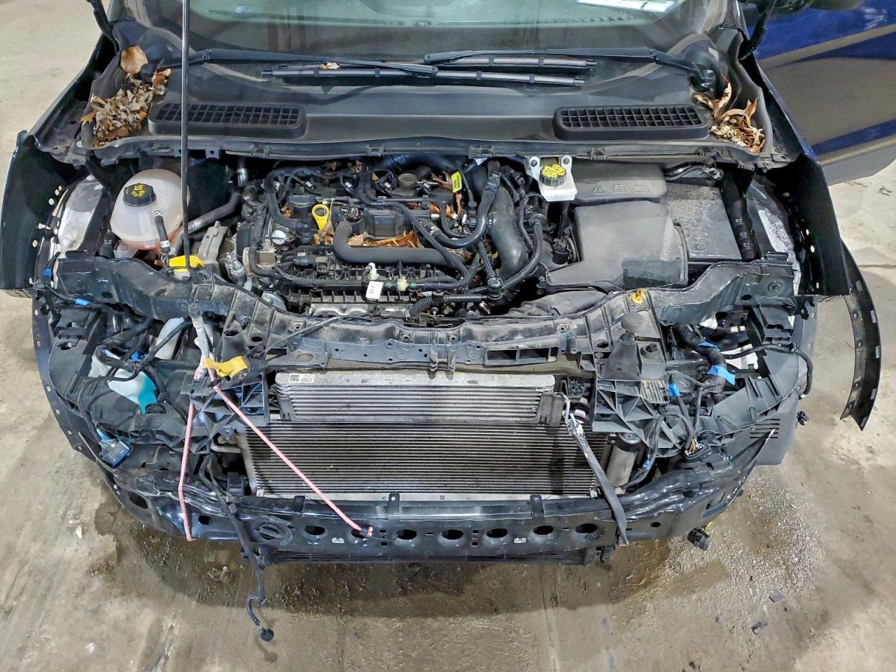 2019 Ford Escape se