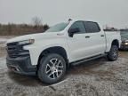 2020 Chevrolet Silverado K1500 lt Trail Boss