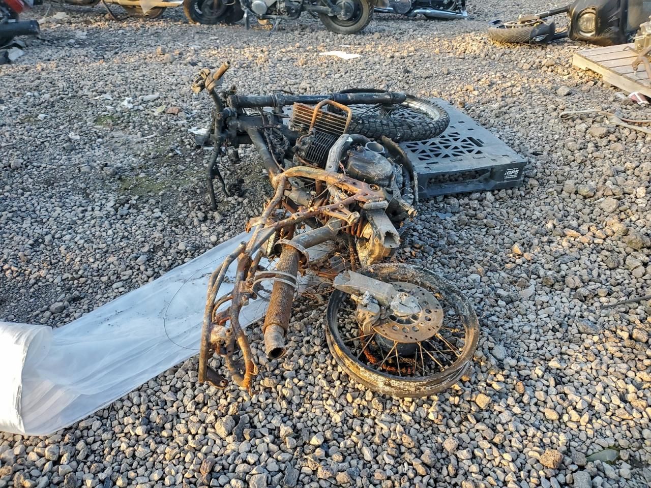 2019 Suzuki DR650 SE