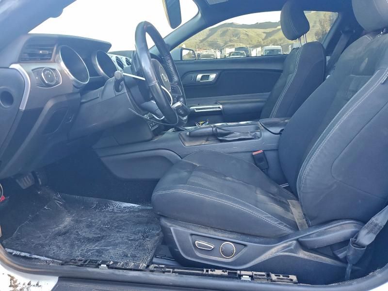 2019 Ford Mustang gt