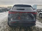2024 Lexus Nx 350 Base