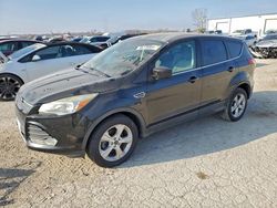 Ford Escape salvage cars for sale: 2014 Ford Escape se