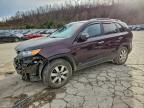 2012 KIA Sorento Base