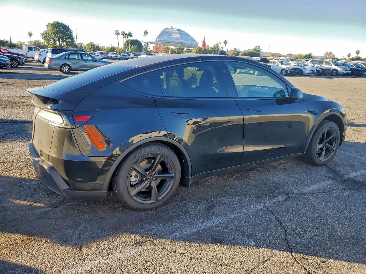 2026 Tesla Model y
