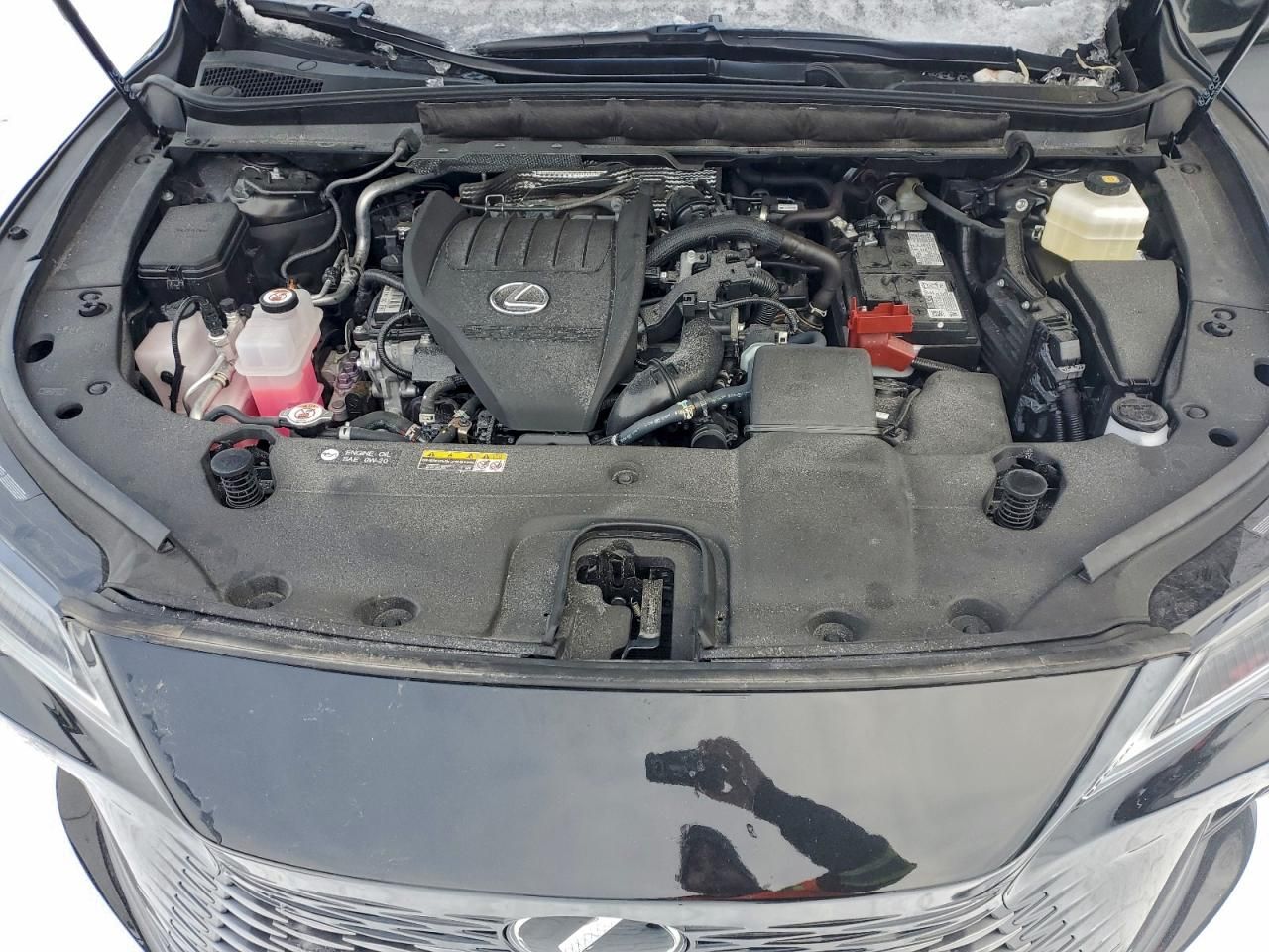 2024 Lexus Rx 350 Base