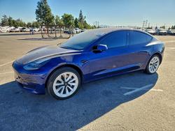 2023 Tesla Model 3 for sale in Rancho Cucamonga, CA