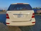 2011 Mercedes-Benz Ml 350