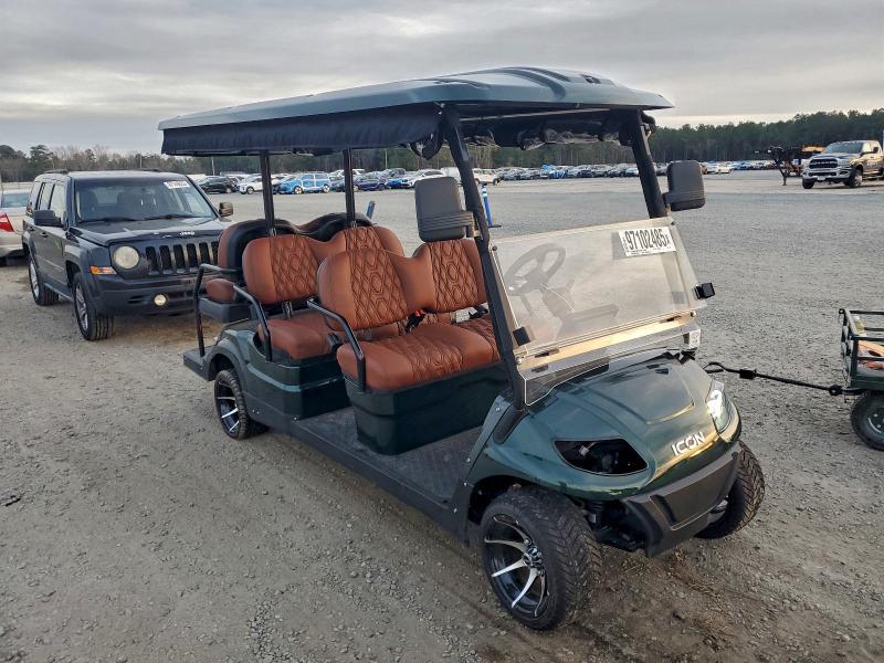 2024 ATV 2024 Icon Golf Cart
