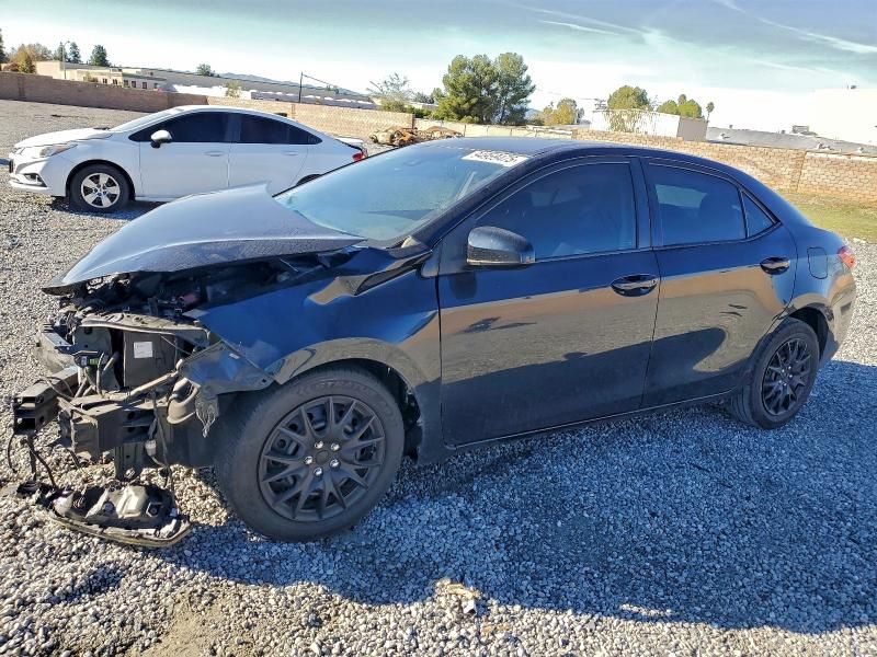 2019 Toyota Corolla l