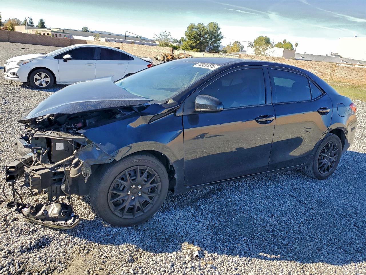 2019 Toyota Corolla l