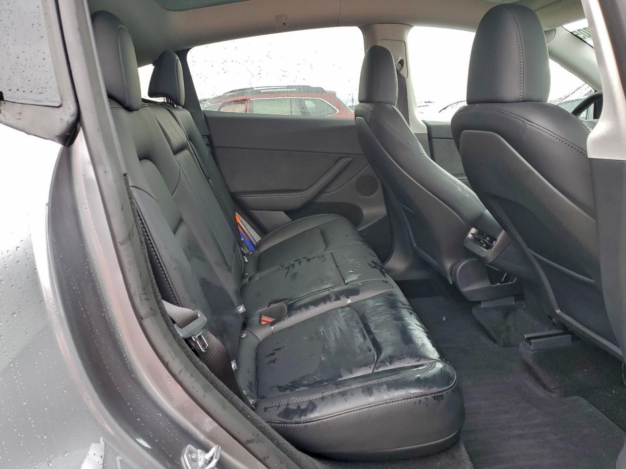 2025 Tesla Model y
