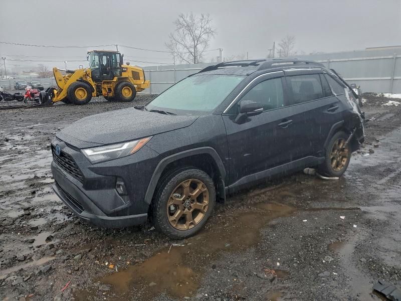 2024 Toyota Rav4 Woodland Edition