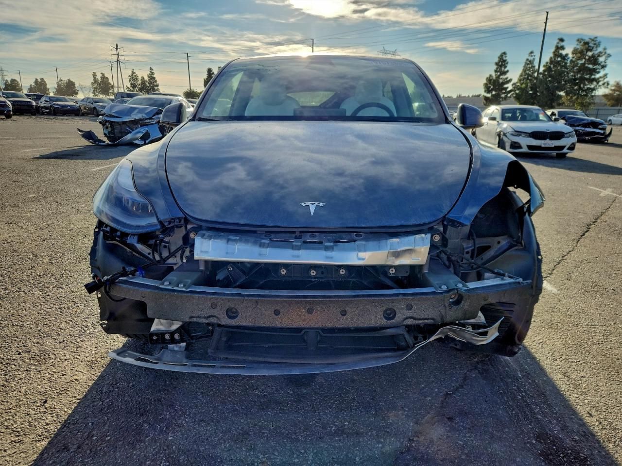 2024 Tesla Model y