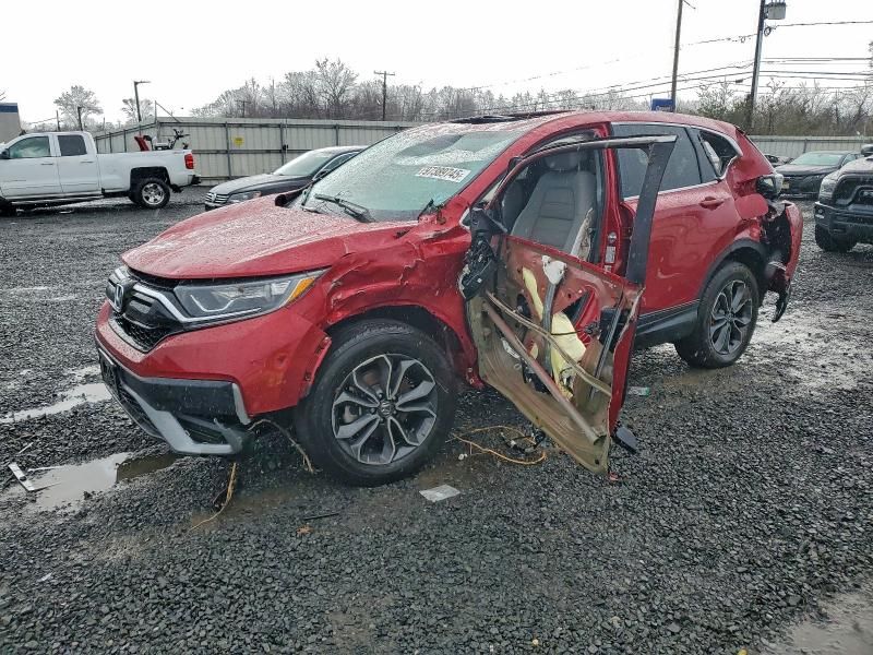 2022 Honda Cr-v exl