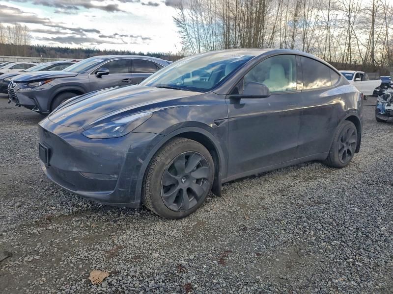 2024 Tesla Model y