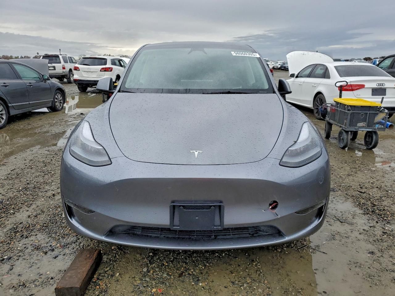 2025 Tesla Model y