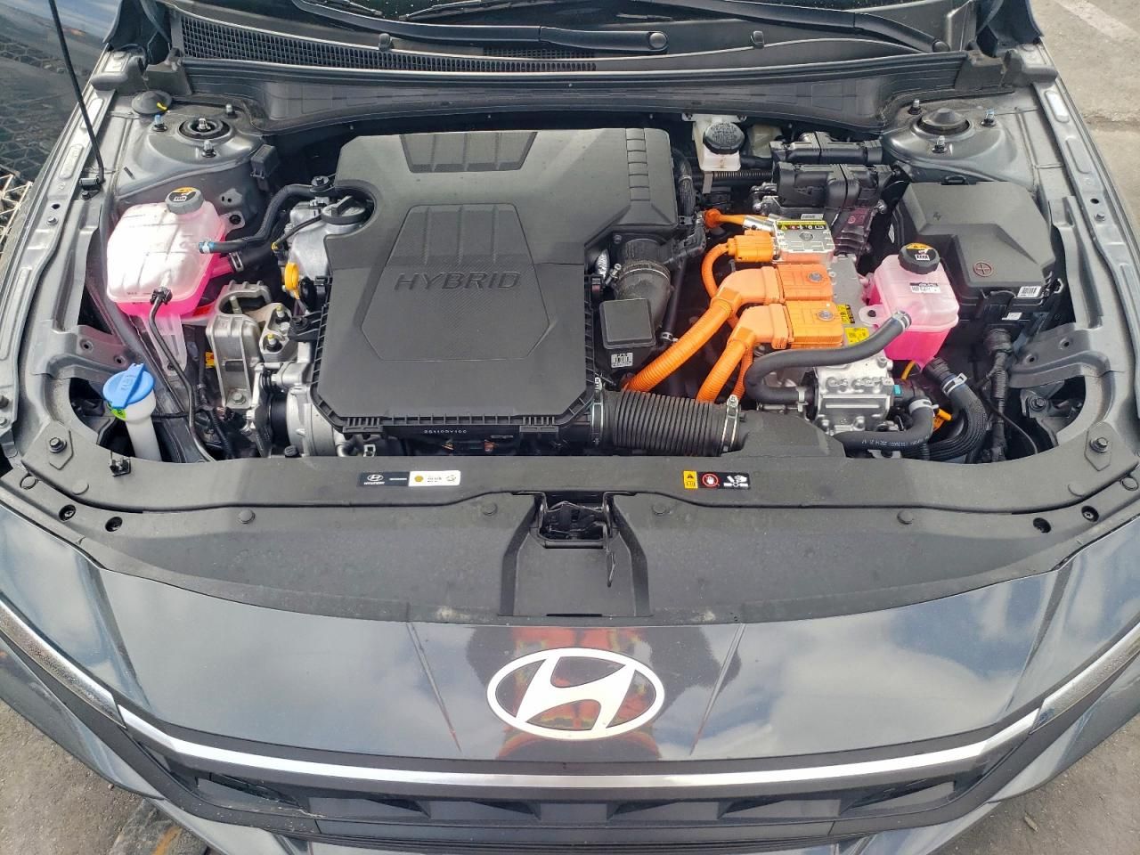 2025 Hyundai Elantra Blue