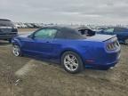 2013 Ford Mustang