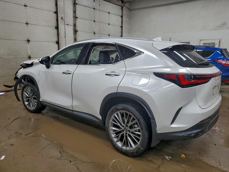 2023 Lexus Nx 350