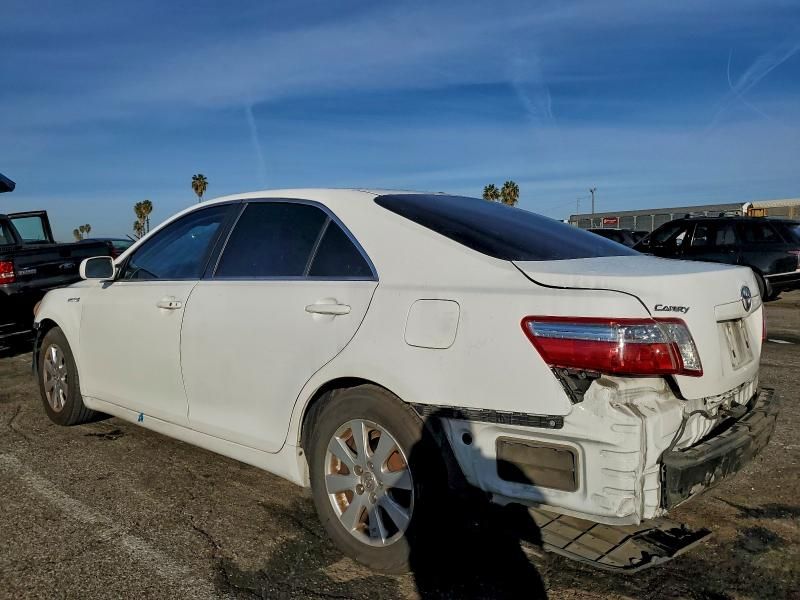 2009 Toyota Camry Hybrid