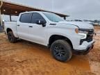 2023 Chevrolet Silverado K1500 lt Trail Boss