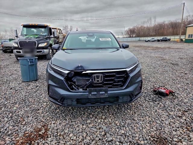 2025 Honda Cr-v exl