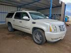 2009 Cadillac Escalade esv Luxury