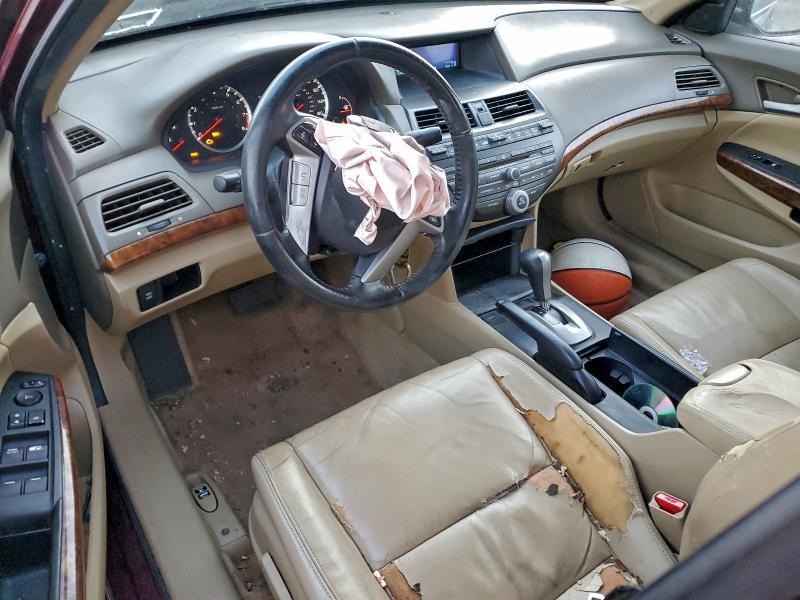 2010 Honda Accord exl