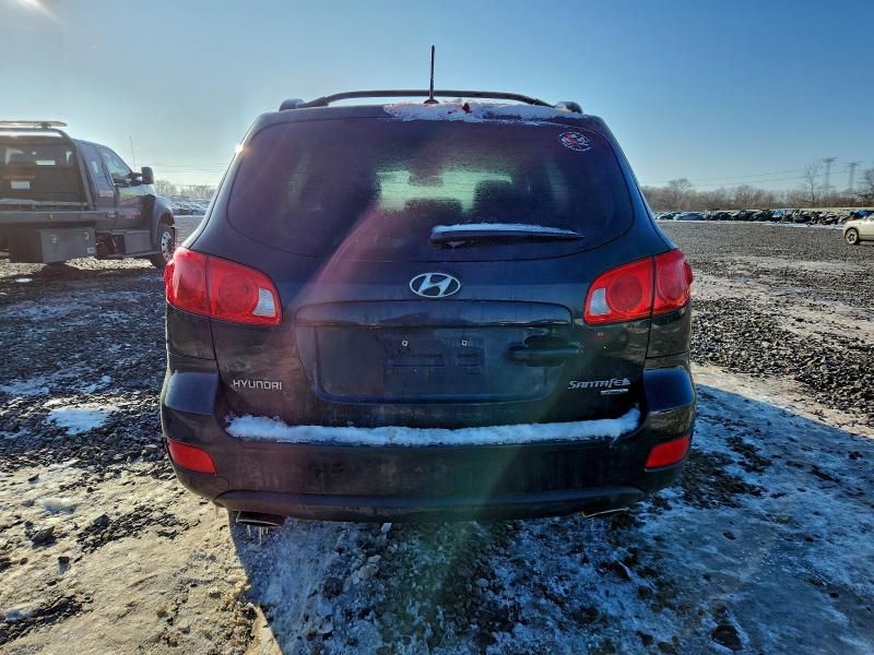 2009 Hyundai Santa fe se