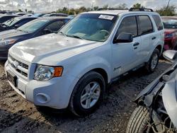 2011 Ford Escape Hybrid for sale in Corpus Christi, TX