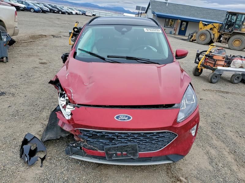 2022 Ford Escape sel