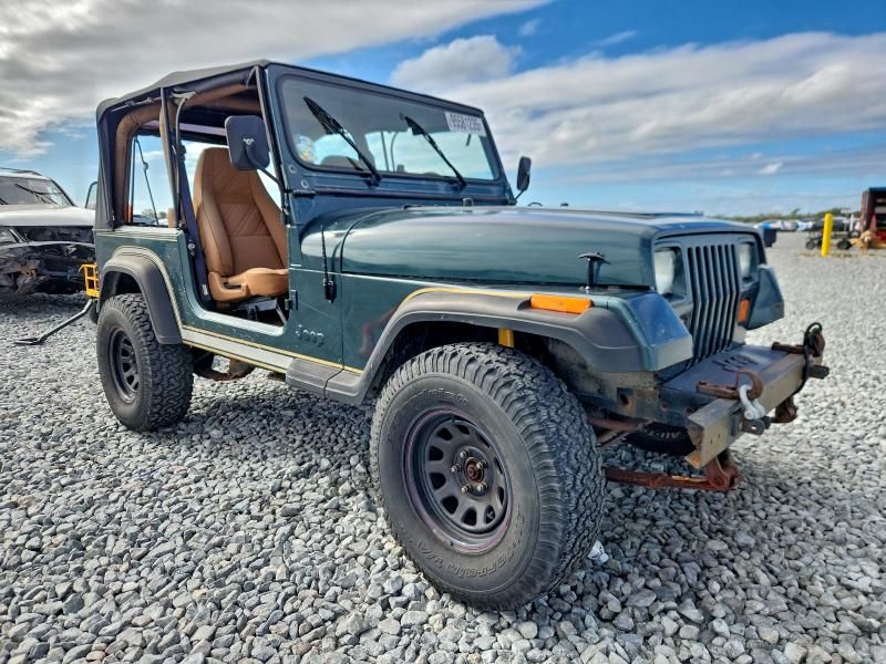1993 Jeep Wrangler / yj