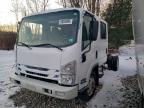 2022 Isuzu NRR Truck Cab AND Chassis