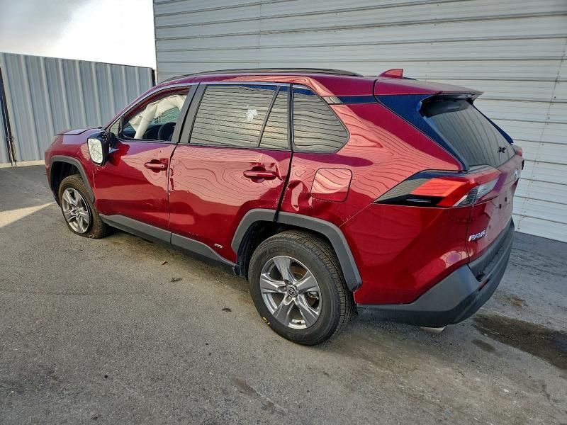 2025 Toyota Rav4 xle