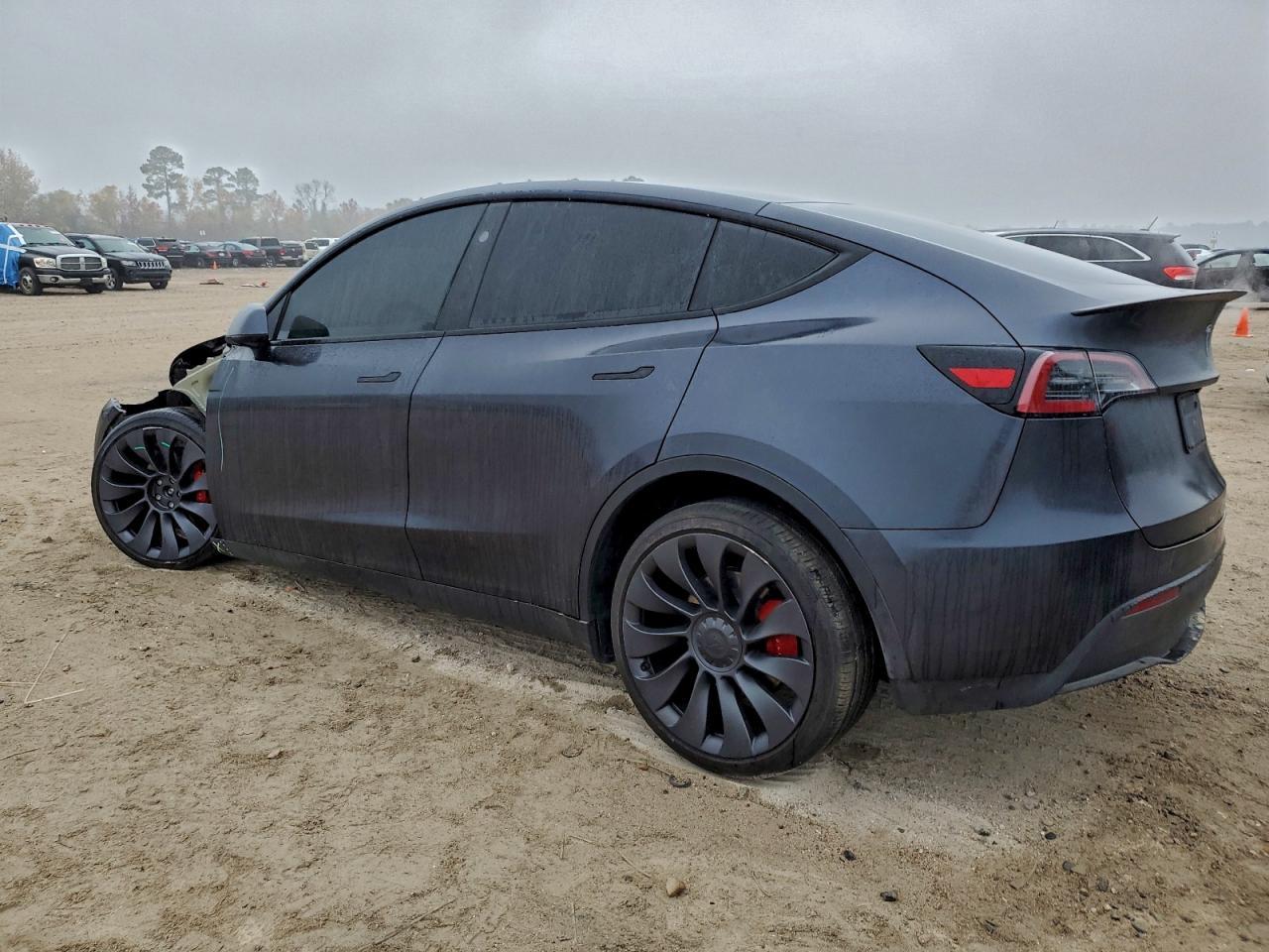 2025 Tesla Model y
