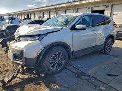 Salvage cars for sale from Copart Louisville, KY: 2020 Honda Cr-v ex