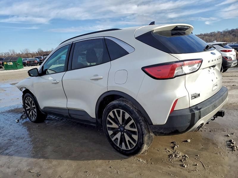 2020 Ford Escape sel