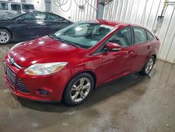 Ford Focus salvage cars for sale: 2014 Ford Focus se