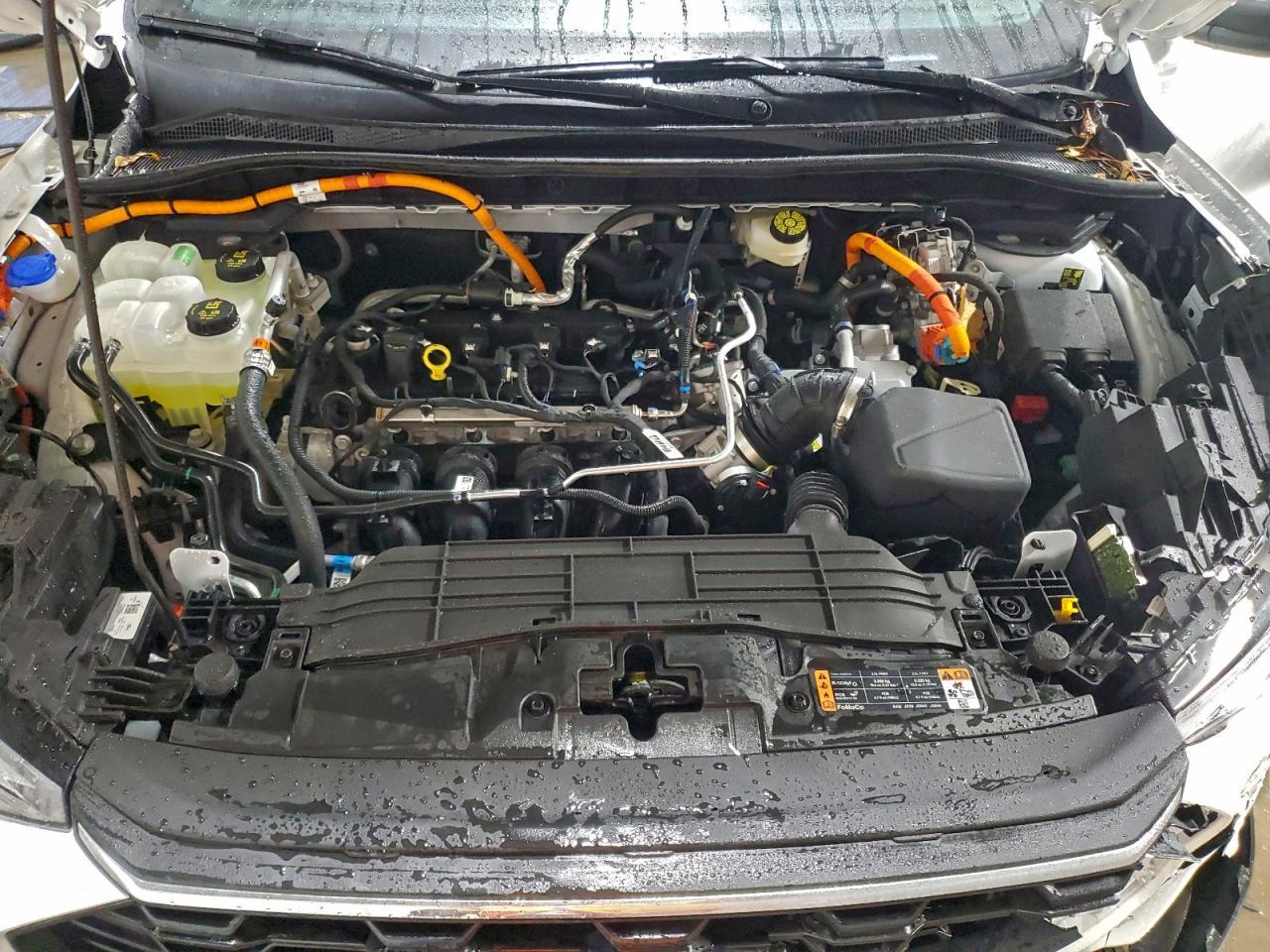 2025 Ford Escape st Line