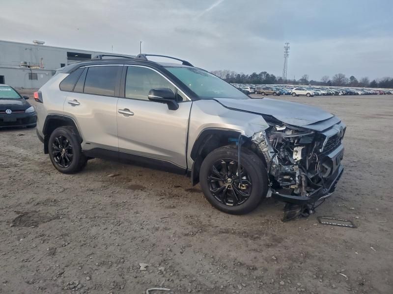 2025 Toyota Rav4 xse