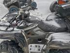 2025 Yamaha YFM700 Grizzly FI EPS