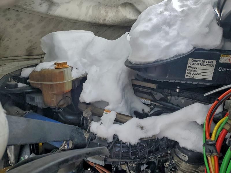 2020 Freightliner Cascadia 126 Semi Truck