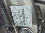 2025 Ford Escape st Line
