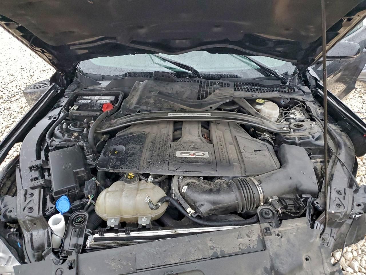 2022 Ford Mustang gt