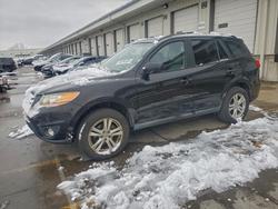 Hyundai salvage cars for sale: 2010 Hyundai Santa fe se