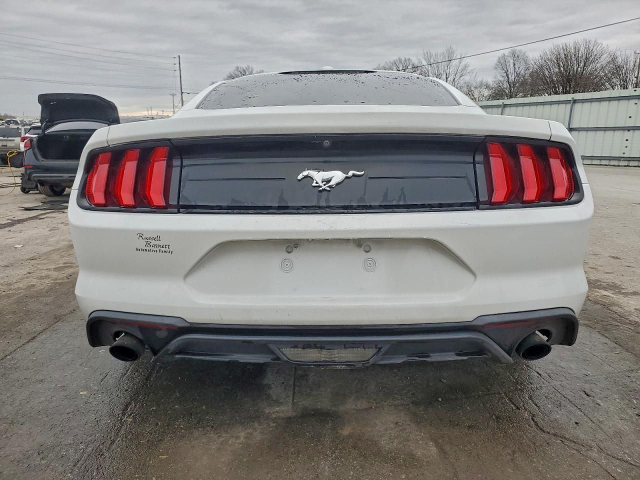 2019 Ford Mustang